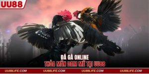 đá gà online